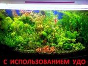 Удобрения(УДО микро,  макро,  калий,  железо) -- для аквариумн растений.